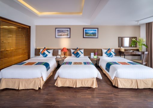 E Trip – Executive Triple Balcony