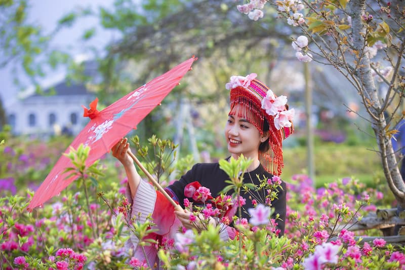 Có thể di chuyển đến thung lũng hoa hồng bằng ô tô hoặc xe máy