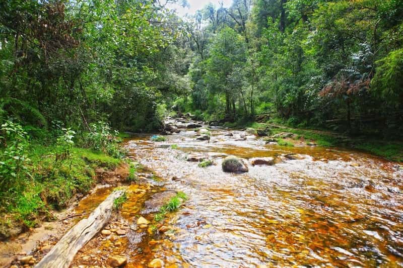 Cách di chuyển từ thị trấn Sapa đến thác Tình Yêu