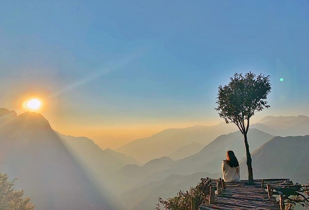 Cây thông cô đơn Sapa