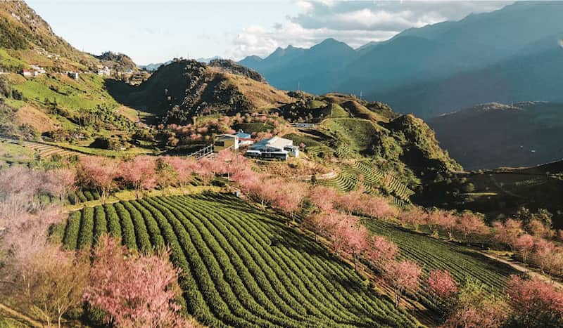Chi phí cho tour Hà Nội - Sapa 3 ngày 2 đêm