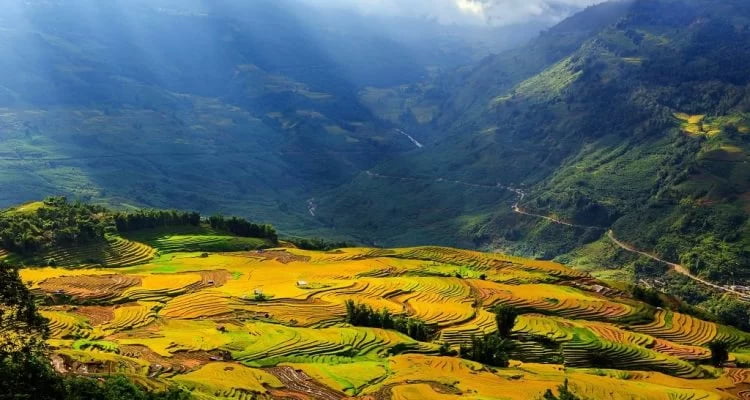 Thung lũng Mường Hoa - Bãi đá cổ Sapa