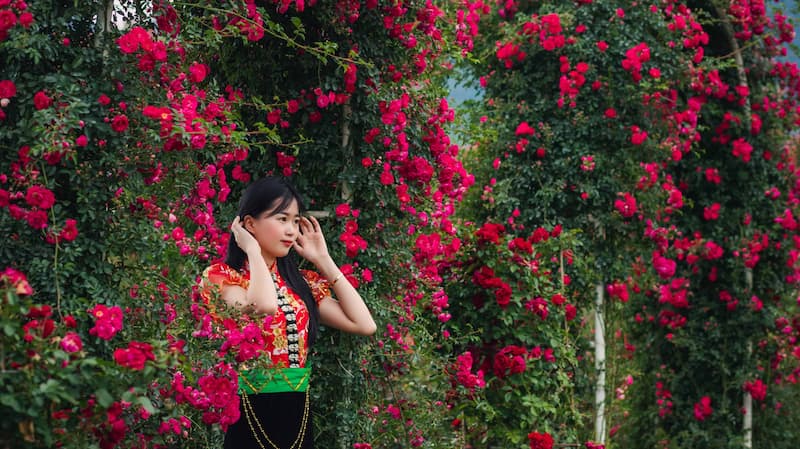 Chụp ảnh với thung lũng hoa