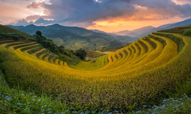 Sapa ruộng bậc thang Lao Chải