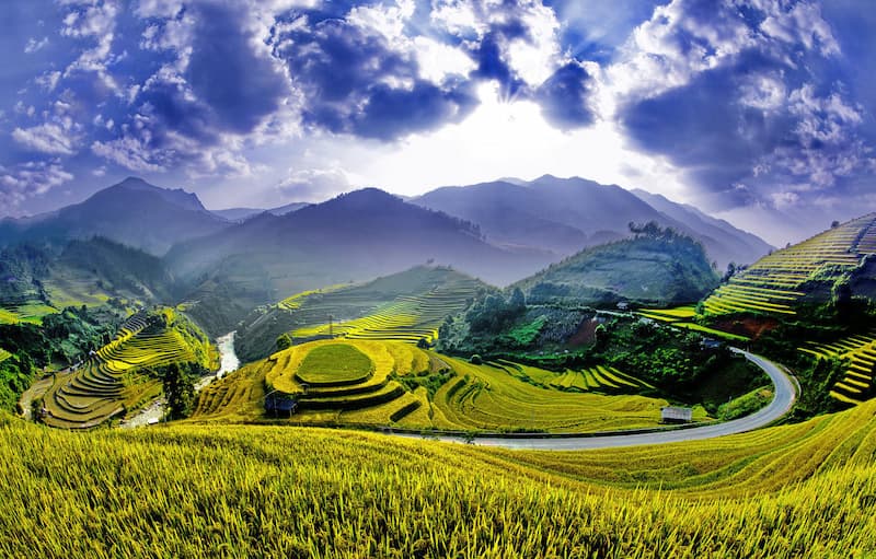 Hình ảnh ruộng bậc thang Sapa cung đường Sapa - Cát Cát