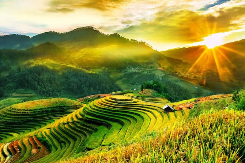 Độ cao của đỉnh núi Sapa ảnh hưởng tới cảnh quan thiên nhiên