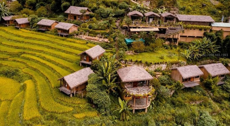Eco Palms House - Homestay Sapa sang trọng, đẳng cấp