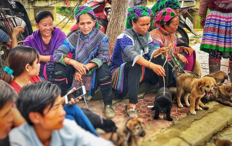Khám phá chợ gia súc độc đáo