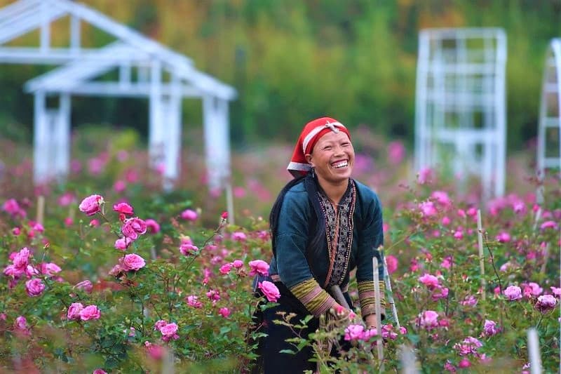 Mùa thu (từ tháng 7 đến tháng 9)