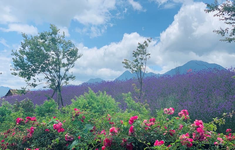 Mùa xuân (từ tháng 1 đến tháng 3)