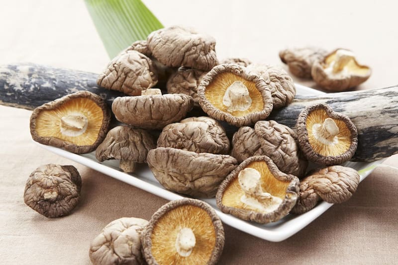 Nấm hương rừng - Đặc sản Sapa mua về làm quà