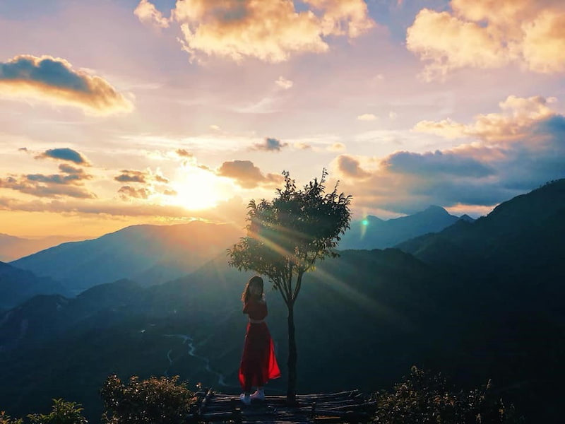 Cây cô đơn đèo Ô Quy Hồ