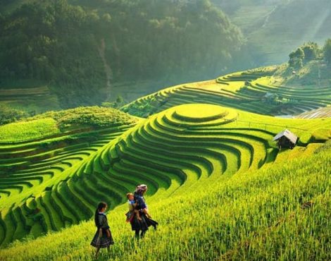 Nên đi Sapa vào tháng mấy? Gợi ý thời gian lý tưởng để khám Sapa