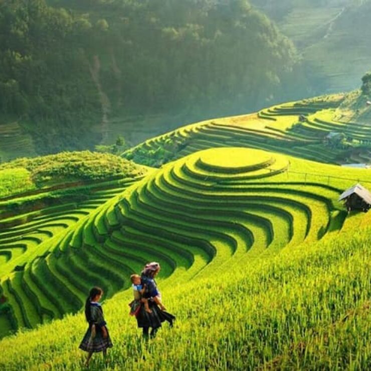 Nên đi Sapa vào tháng mấy? Gợi ý thời gian lý tưởng để khám Sapa