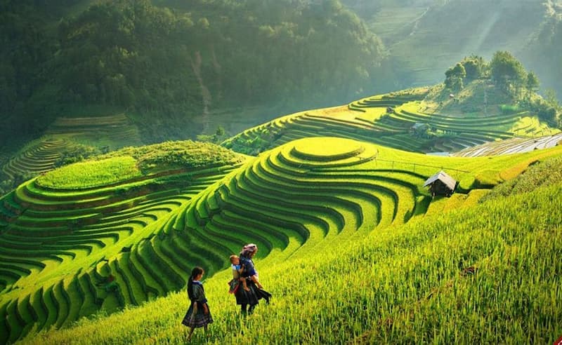 Nên đi Sapa vào tháng mấy? Gợi ý thời gian lý tưởng để khám Sapa