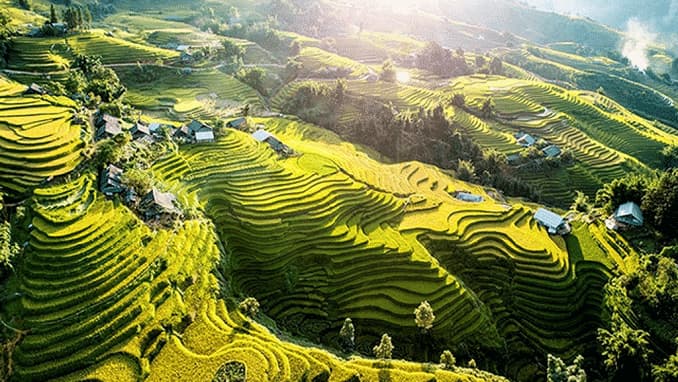 Ruộng bậc thang Sa Pa