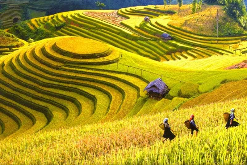 Thung lũng Mường Hoa