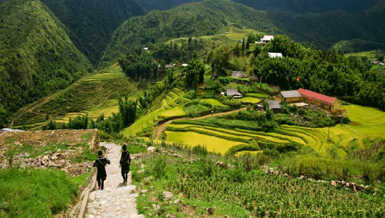 Chi phí cho một chuyến đi Sapa theo tour