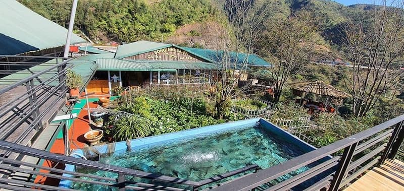 Địa chỉ bán cá hồi Sapa