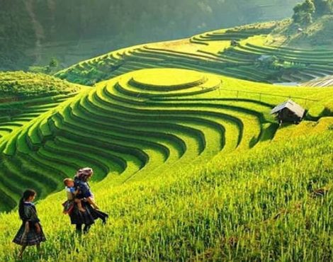 Bản đồ du lịch Sapa: 10+ Địa điểm du lịch  HOT nhất tại Sapa