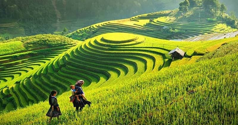 Bản đồ du lịch Sapa: 10+ Địa điểm du lịch  HOT nhất tại Sapa