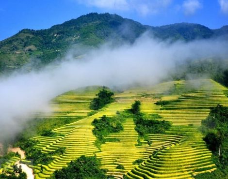 Ruộng bậc thang Sapa: Vẻ đẹp bên những triền đồi Tây Bắc