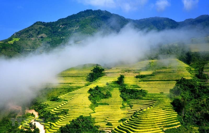Ruộng bậc thang Sapa: Vẻ đẹp bên những triền đồi Tây Bắc